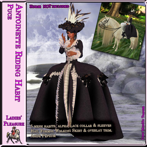 ~LP~ Antoinette Riding Habit (BOXED)
