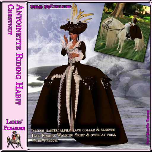 ~LP~ Antoinette Riding Habit (BOXED)