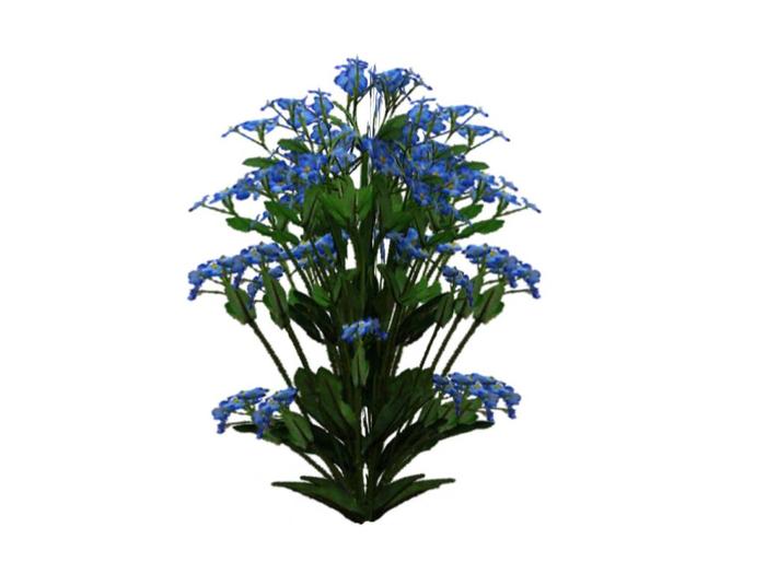 Spring flowers - blue