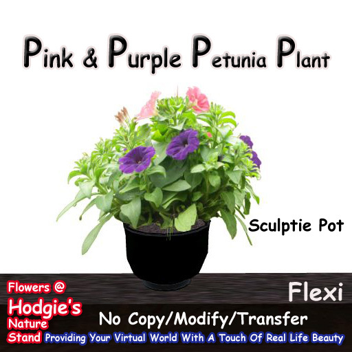 Hodgie's Flowers & Plants  -- Petunias (Purple & Pink) Flexi In Sculptie Pot