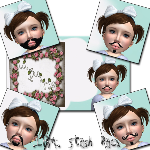 .:LBM:. Stash Pack
