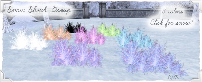 {Peachy} Snow Shrub Group BOX