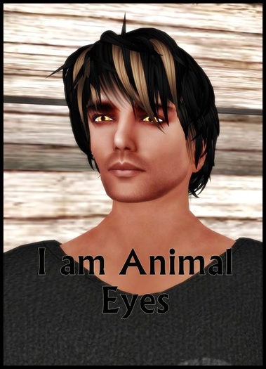 I Am Animal Eyes