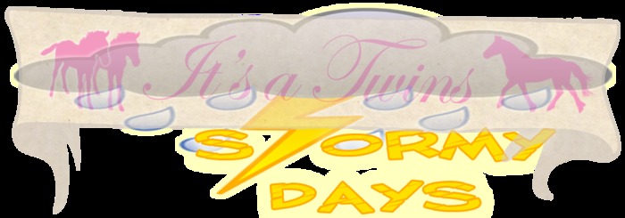 SD's Filly Twin Banner (Boxed)