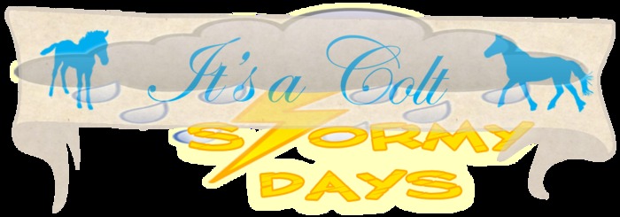 SD's Foal Banner Fat Pack (Boxed)