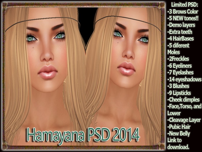 Hamayana PSD 2014 Demo