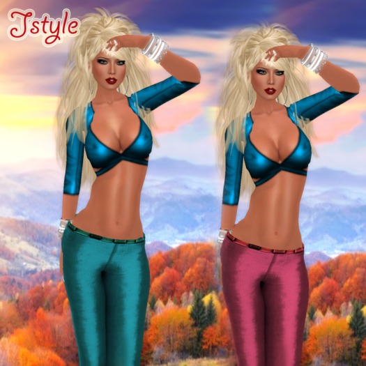 2 pantalon mesh +top