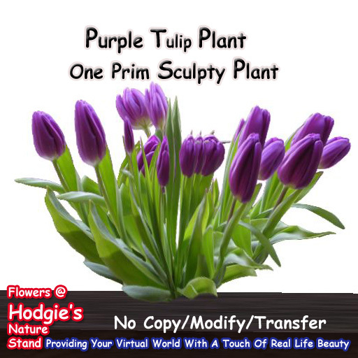 Prim Purple Second Life Marketplace - Hodgie's Flowers & Plants -- Tulips (Purple ...