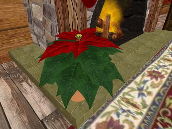 *Poinsettia Mesh*