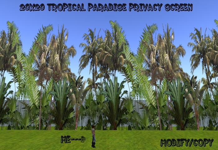 20x20 Tropical Paradise Privacy Screen (Seamless)
