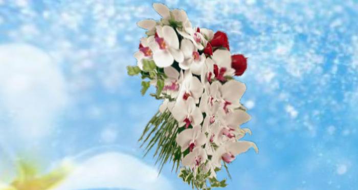 bouquet orchidee