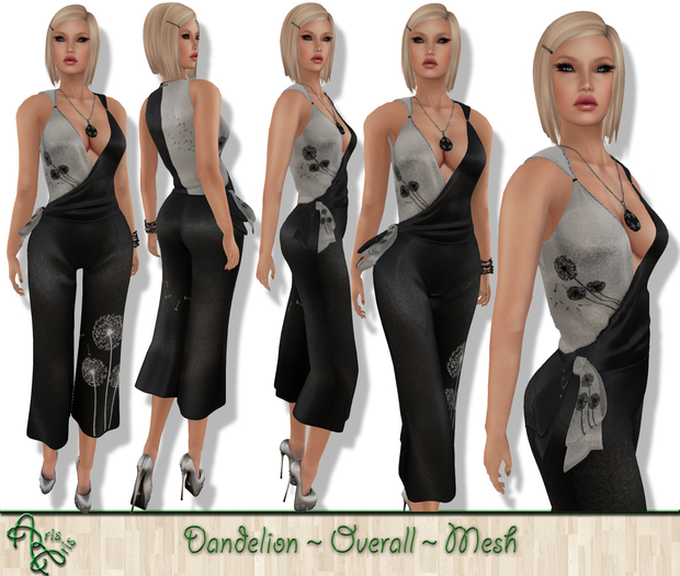 ***ArisAris  Dandelions Overall