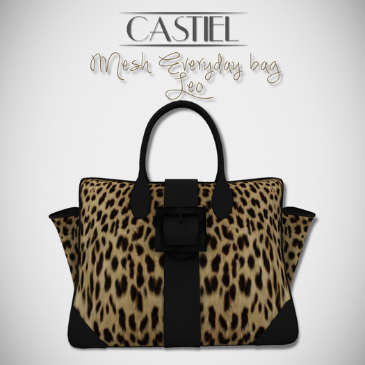 CASTIEL Leo Bag BOX