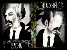 - -Sacha- - Black Bird