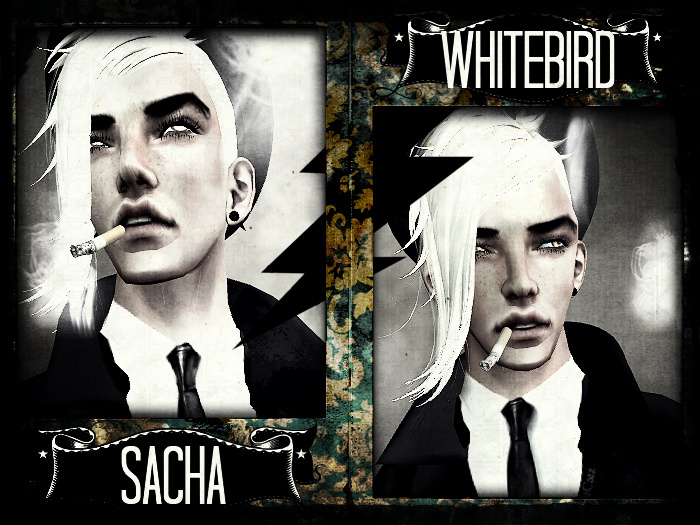 - -Sacha- - White Bird