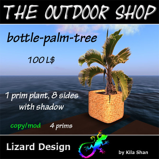 bottle palm tree