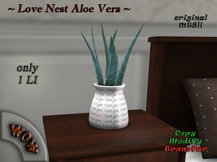 Love Nest Aloe vera BOX