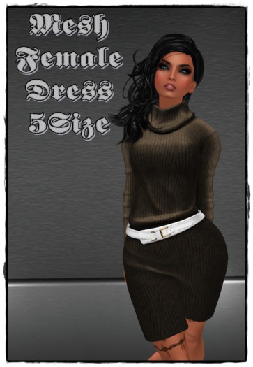 Female Mesh Dress Brown