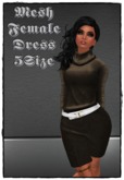 Female Mesh Dress Brown