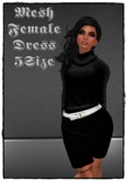 Female Mesh Dress Black