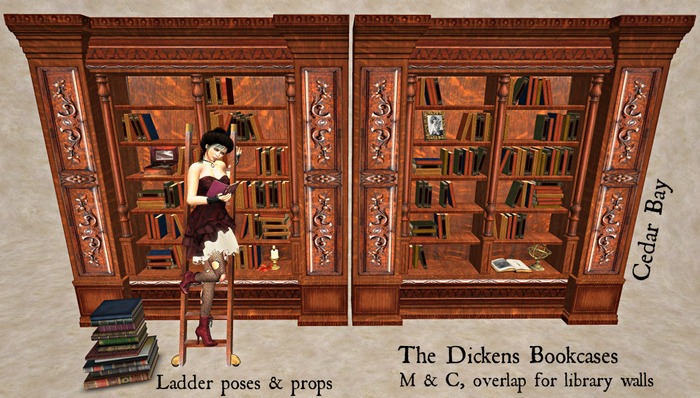 [CB] Dickens Bookcases, with Animated Ladder
