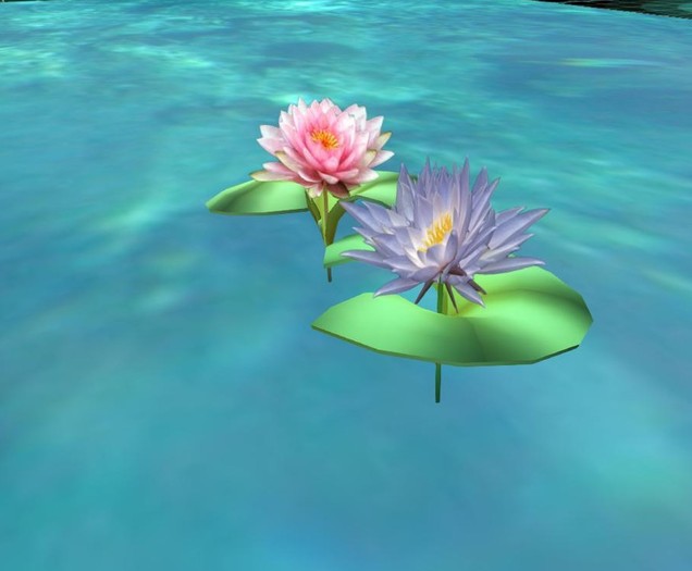 lotus01 X 2