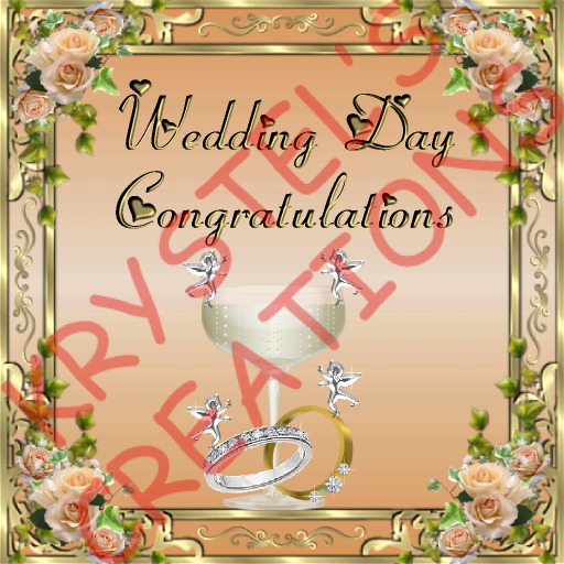 WD31 Wedding Day Congratulations (Rezz Me)