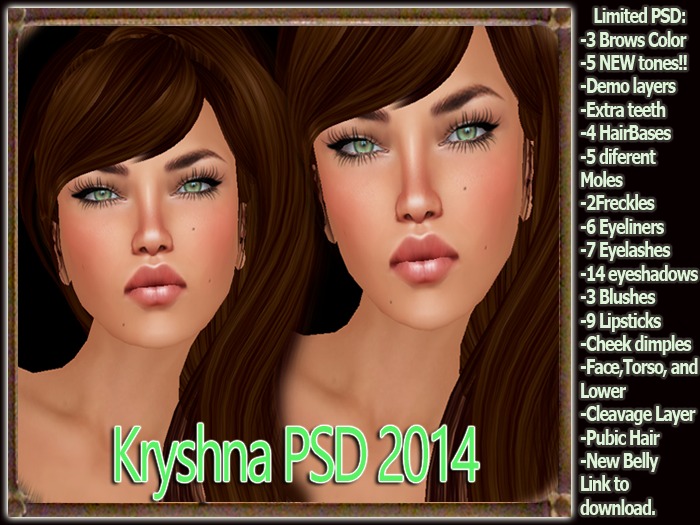 Kryshna PSD 2014 Demo