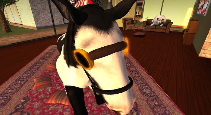 Victorian (Steampunk) Googles (BC Shire Mesh)