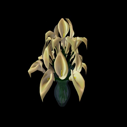 cream lillies