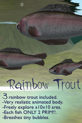 3 Free-swimming Fish - Rainbow Trout
