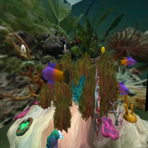 RG Fishscape coral with fish C