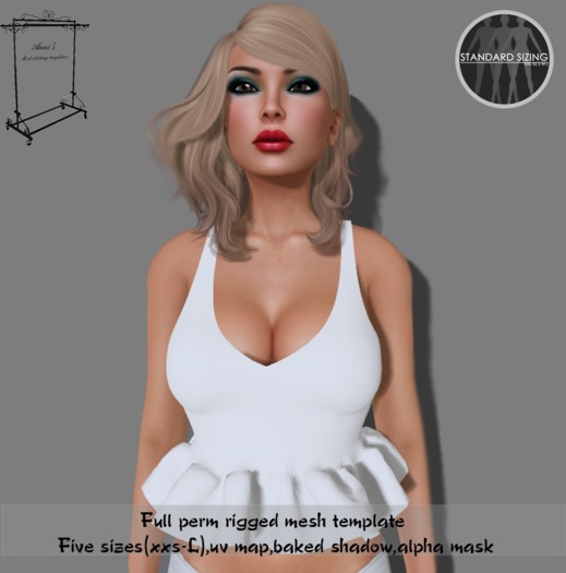 Anni's -Full perm mesh ruffled mini top