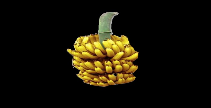 Banana husk from tree texture full perms