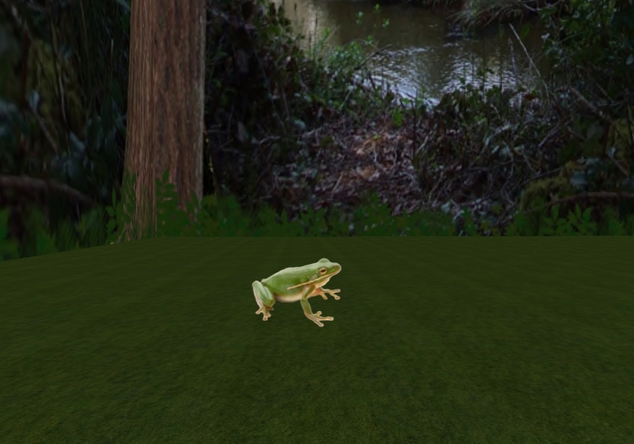 Mw Frog  Hop animated scripted
