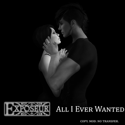 {.:exposeur:.} All I Ever Wanted