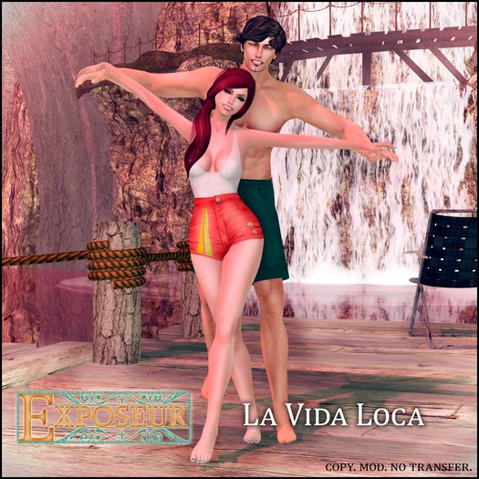 {.:exposeur:.} La Vida Loca (WEAR ME)
