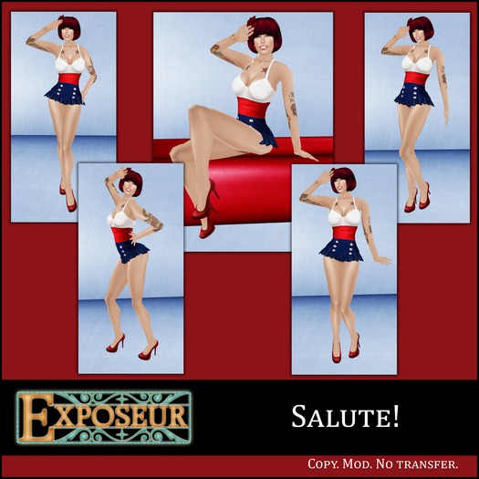 {.:exposeur:.} Salute! (WEAR ME)