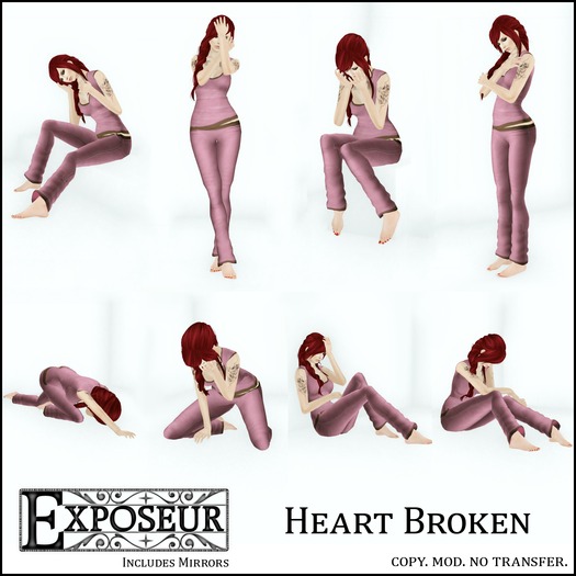 {.:exposeur:.} Heart Broken