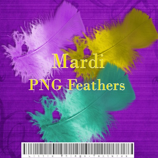 Mardi Feather