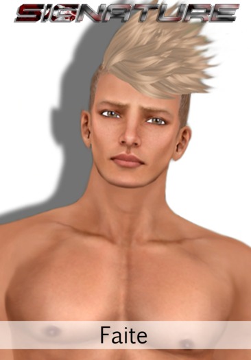 SIGNATURE   [ FAITE ]  Skin Set