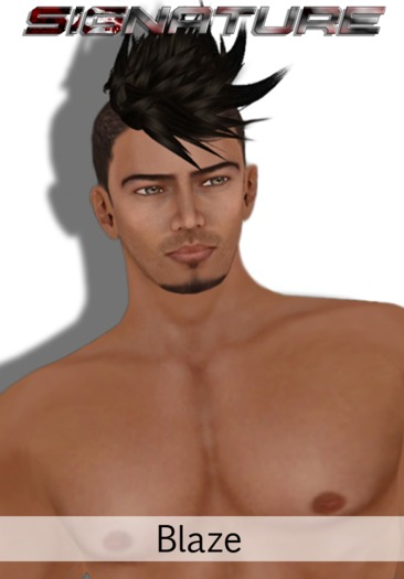 SIGNATURE   [ BLAZE ]  Skin Set