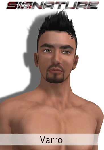SIGNATURE   [ VARRO ]  Skin Set