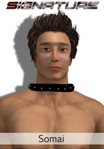 SIGNATURE   [ SOMAI ]  Skin Set