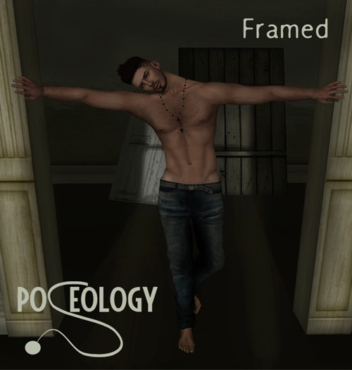Poseology - Framed