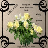 bouquet of white rose bush
