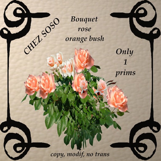 bouquet de  rose orange bush clair