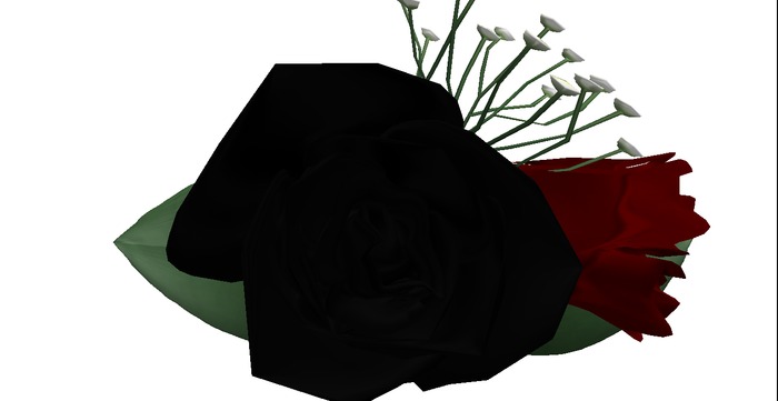boutonniere blood/black adj.