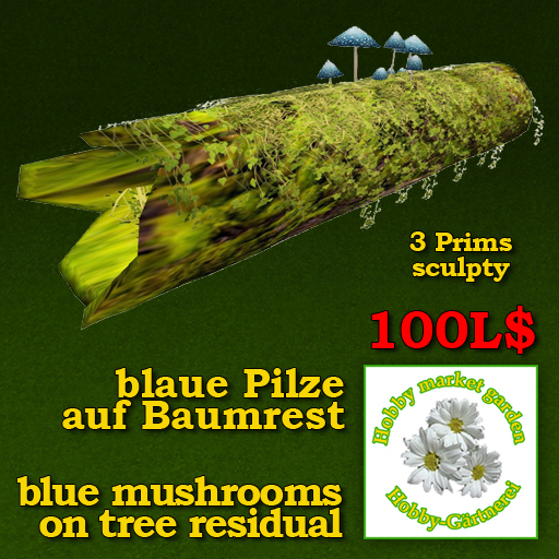 blue mushrooms on tree residual