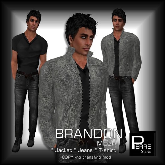 Pierre Styles BRANDON Grey - LEATHER JACKET